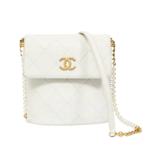 250213 直播編號 20 : 【二手】CHANEL CHAIN SIDES HOBO 小號手袋 AS2503 R109 E19197