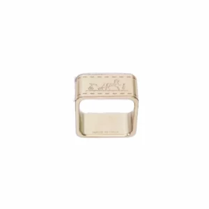 直播編號 5 : 【未使用品】HERMES BOLDUC 絲巾扣 E18241
