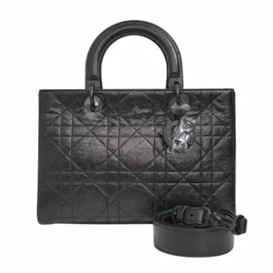 【全新】CHRISTIAN DIOR LADY D-SIRE MY ABCDIOR 中號手袋 E20335