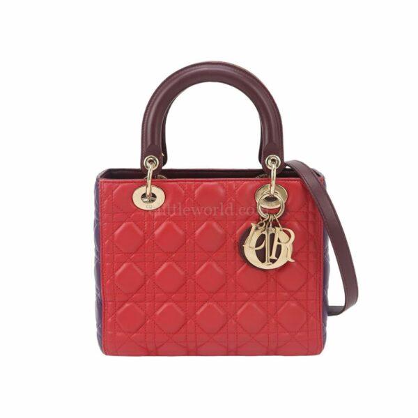 【二手】CHRISTIAN DIOR LADY DIOR 中號手袋 VV2273