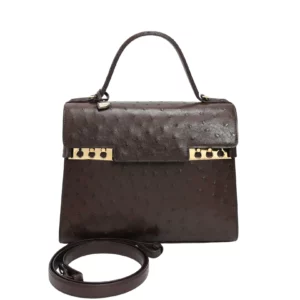 【全新】DELVAUX TEMPETE 中號鴕鳥皮手袋 E22636