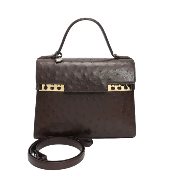 【全新】DELVAUX TEMPETE 中號鴕鳥皮手袋 E22636