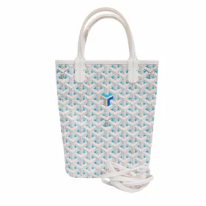 【二手】GOYARD POITIERS-CLAIRE-VOIE 限量版併色手袋 E20829