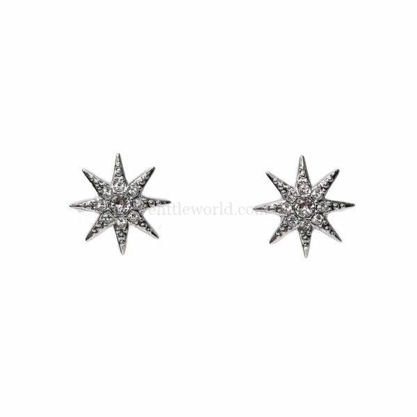 【全新】SWAROVSKI FIZZY 水晶項鍊及耳環套装 E18089