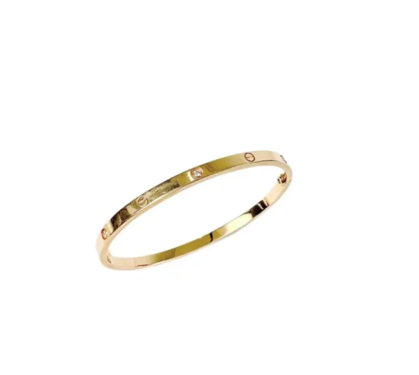 【二手】CARTIER LOVE 手鐲 17 RR2280