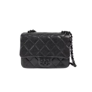 【二手】CHANEL 迷你垂蓋手袋 YY2183