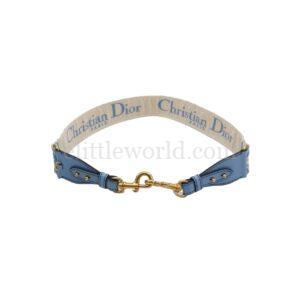 【二手】CHRISTIAN DIOR OBLIQUE 肩帶 PD2730