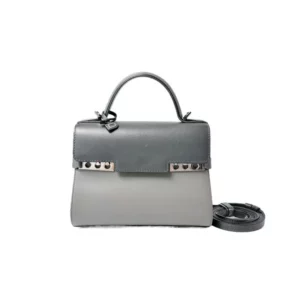 【二手】DELVAUX TEMPETE 小號手袋 RR2688